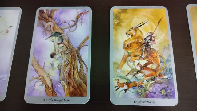 Alex Jones Card Reading...