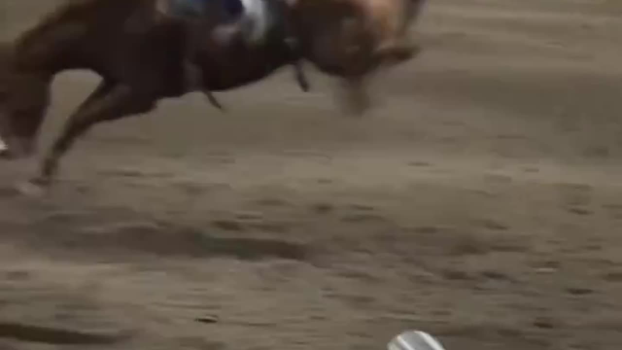 Black Cowboy