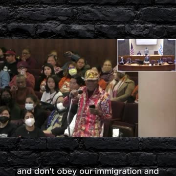 Chicago Resident Speaking Out at City Council