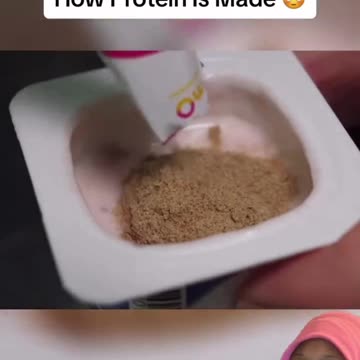 How protein is made