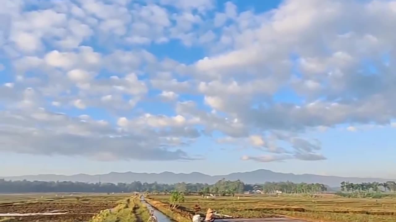 Morning vibes dari sawah & alam 🌿🍃