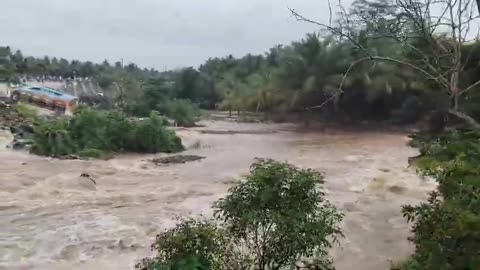 Nineteen People Have Died In Sri Lanka And Southern India Due To Floods