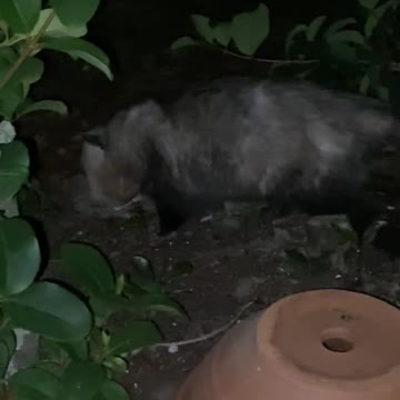 1/30/23 21:59 A visitor just stopped by...