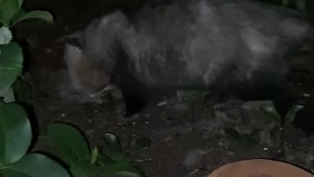 1/30/23 21:59 A visitor just stopped by...