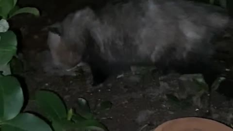 1/30/23 21:59 A visitor just stopped by...