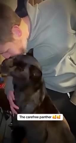 Baby panther was rejected by mom but now is loved