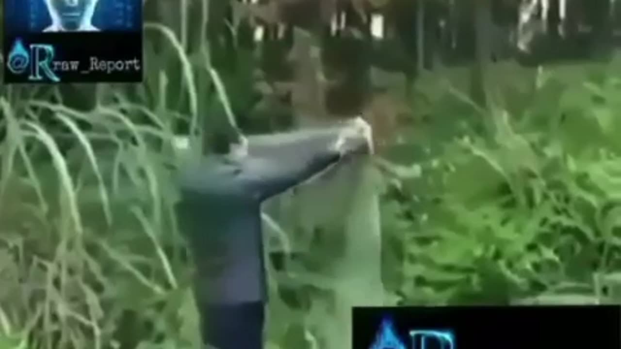 : Ninja-Level: Hide & Seek.