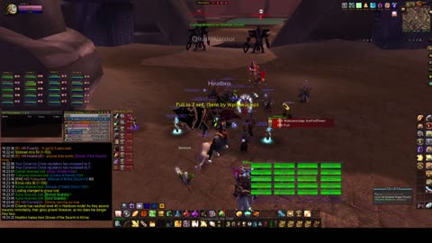 Turtle Wow - PUG AQ20 run - 1 June - paladin POV - no commentary