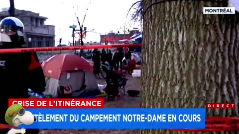 SOLEIL VERT | Démantèlement du campement Notre-Dame