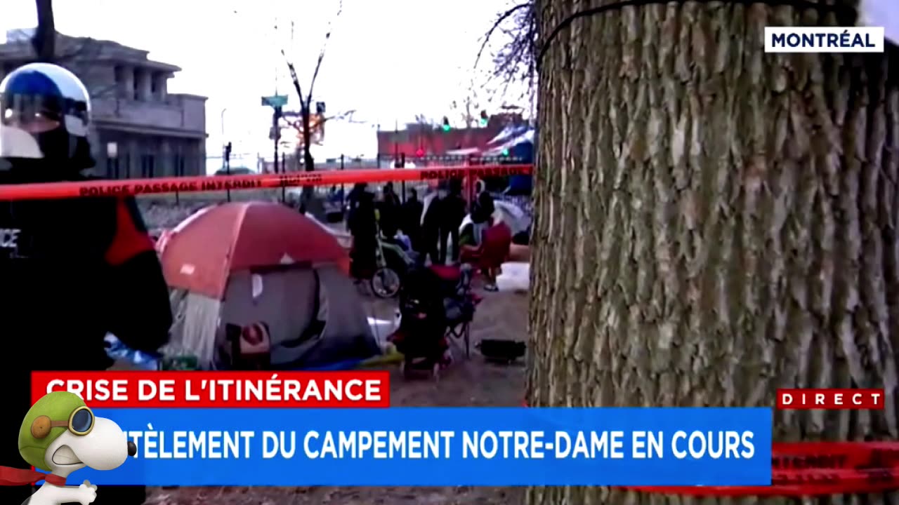 SOLEIL VERT | Démantèlement du campement Notre-Dame