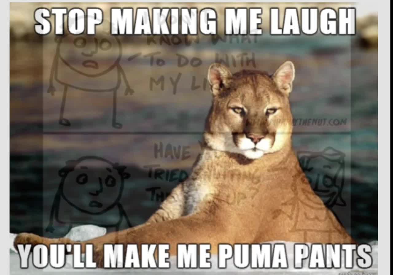 Random Memes 50