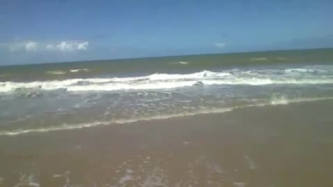Recording the beach very close, I can feel the sea air breeze on my face! [Nature & Animals]