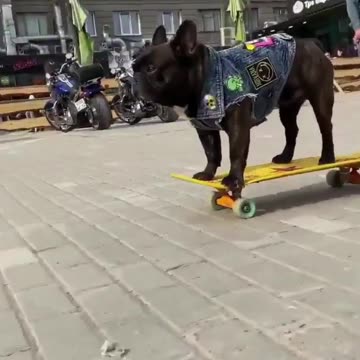 Scariest Rides in the World