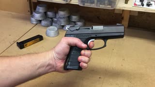 Ruger P95DC Disassembly