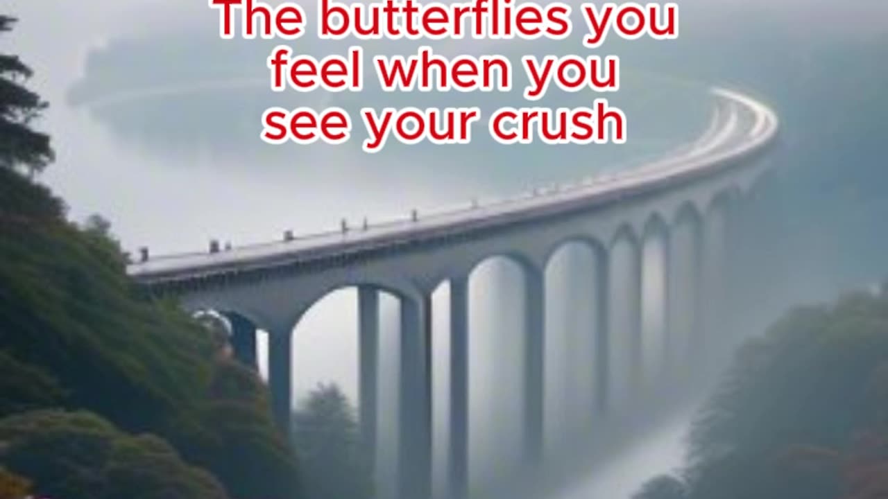 FACTS OF PERSPECTIVE
