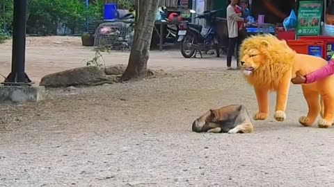 Funny Animal Videos 2023 😂