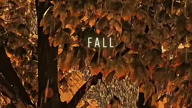 Currently 🍁 #fall #nature #Outdoors