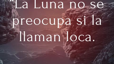 Bendita Luna