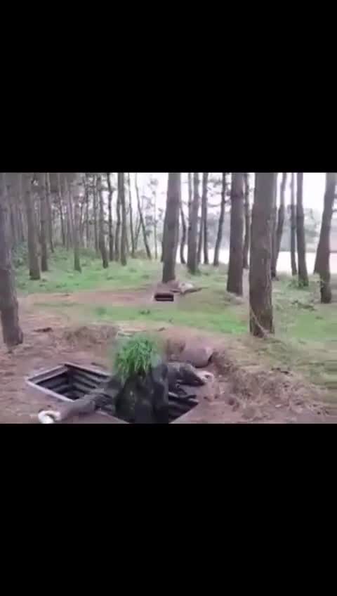 Warum die Bundeswehr im Ukrainekonflikt Nichts zu suchen hat