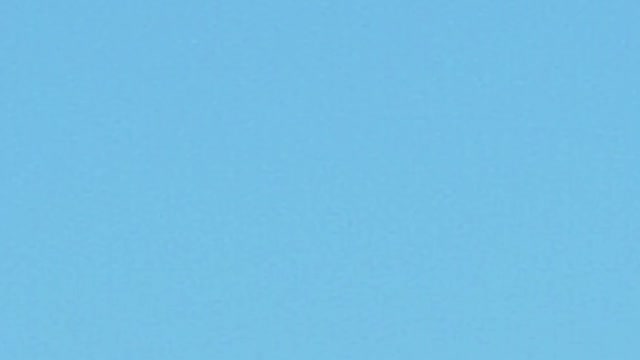 Seven parrots