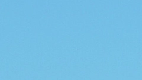 Seven parrots