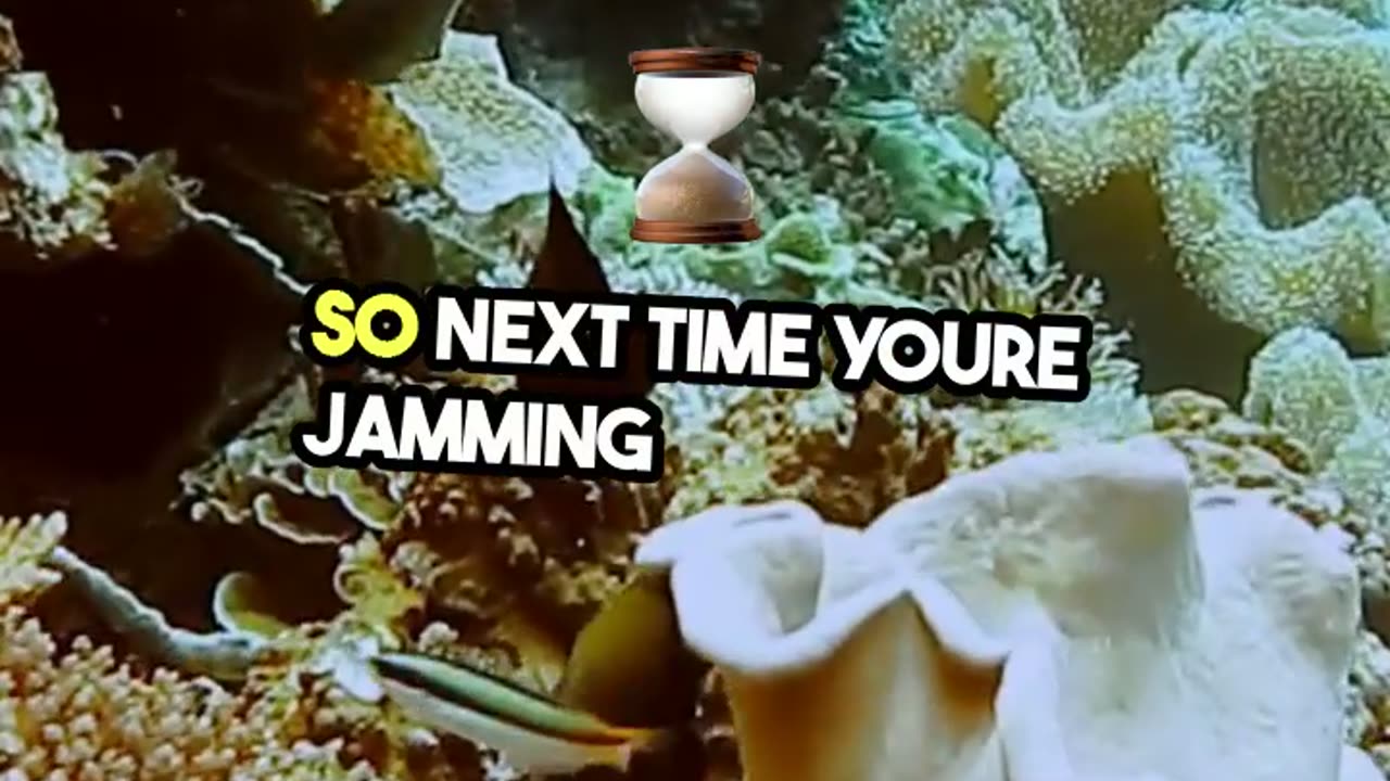 Mind Blowing Science Song You Need!