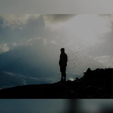 Rising Above Adversity: Embracing Your Journey to Success