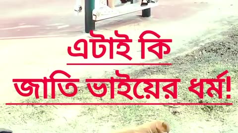 funny funny videos funny names funny animals funny jokes funny memes funny movies