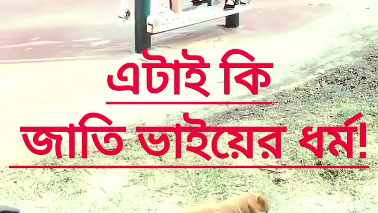 funny funny videos funny names funny animals funny jokes funny memes funny movies