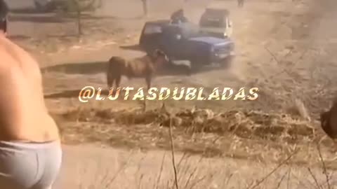 A vingança do touro 😆😆