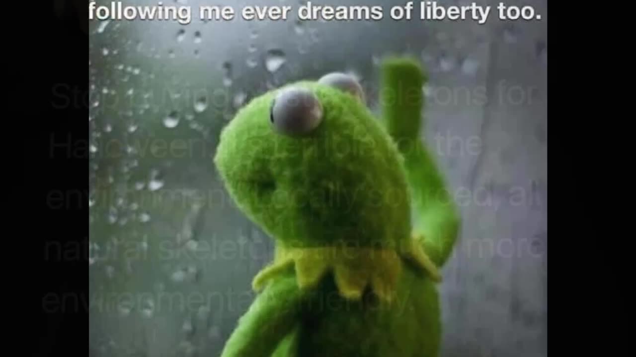 Random Memes 62