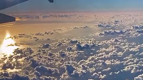 THUNDERDOME!! INSANE IN THE UKRAINE!! TRUMP SHOULD BE "OUR MAN IN UKRAINE."