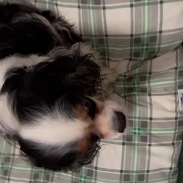 Super Comfortable on “My Pillow” Bed.