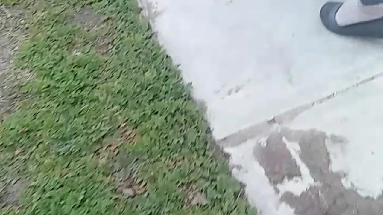 FEED ROCKY TREATS. PT.1