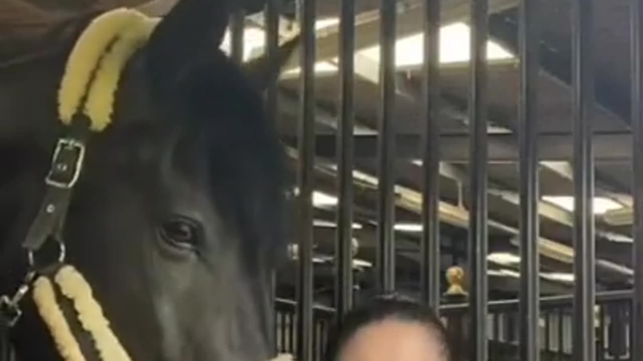 Love animals girls