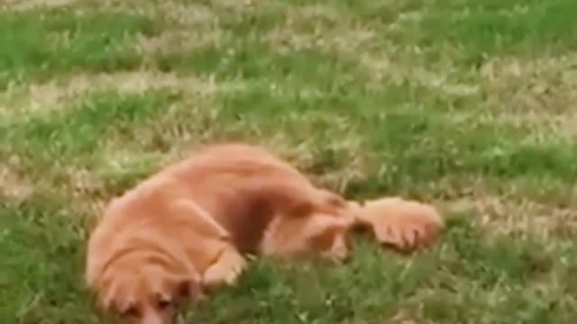 hes doing nothing leave him alone