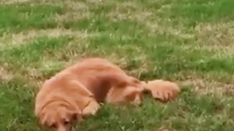 hes doing nothing leave him alone