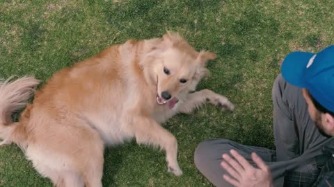 A man petting a dog in the grass