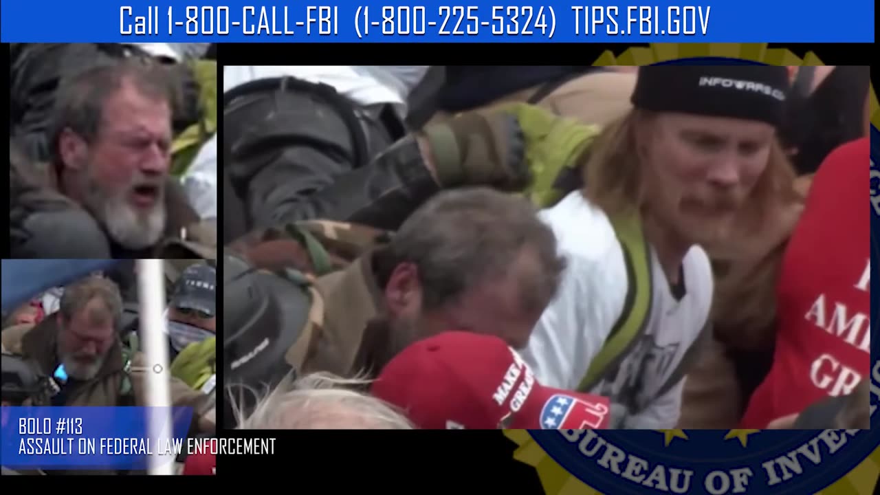 Capitol Violence AFO #113