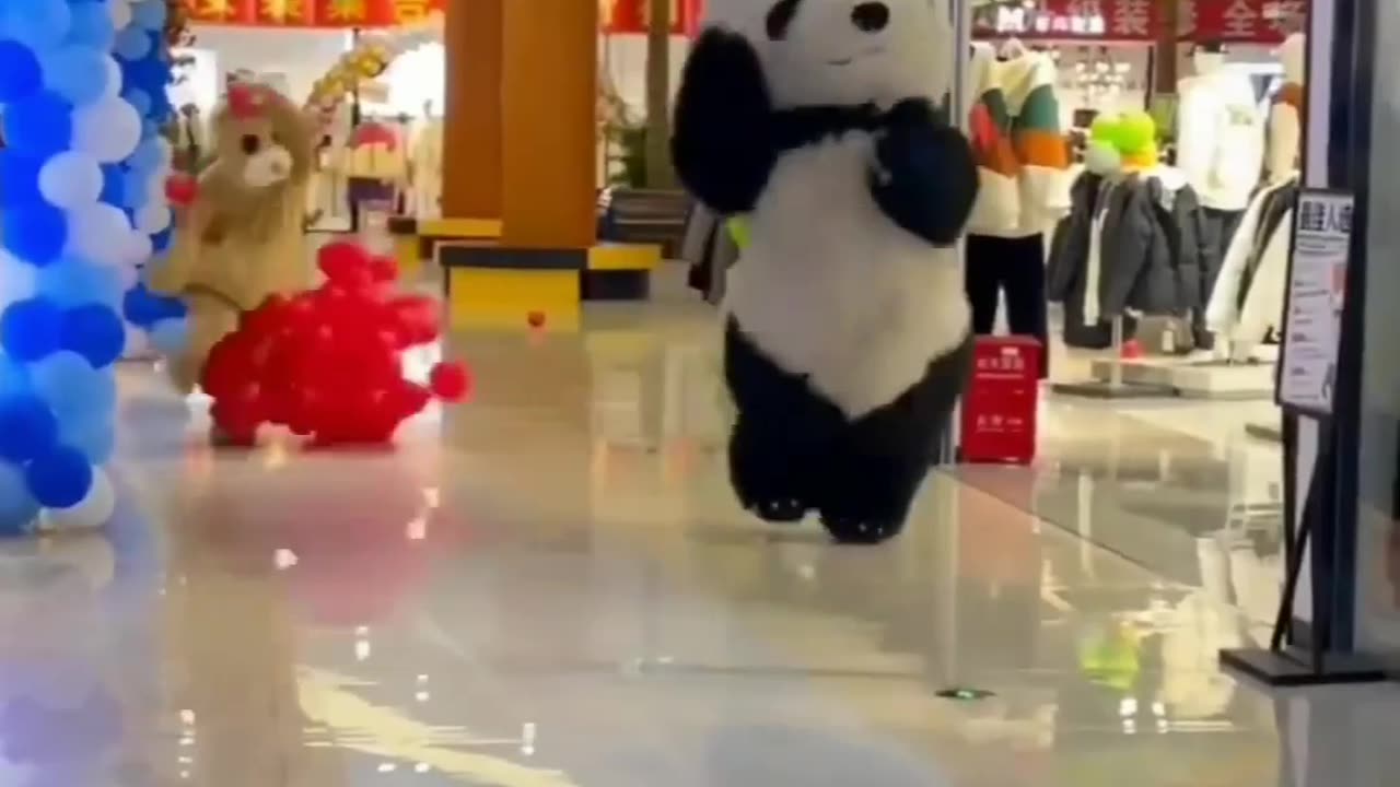 so cute funny panda videos. us