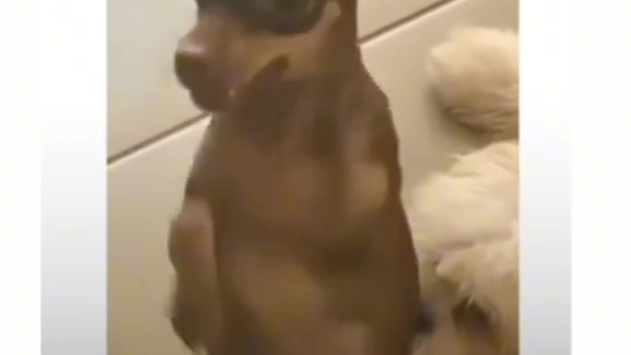 Let's dance together 😂