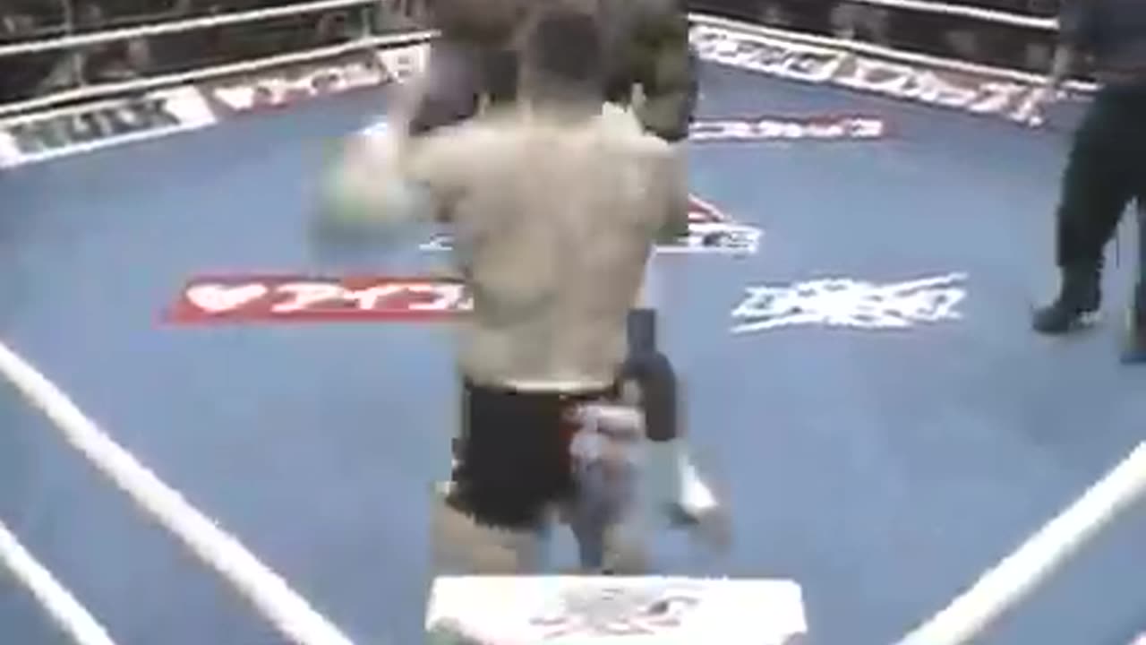 Cro cop vs bob! Wow!!!