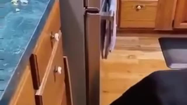 You want some popcorn?