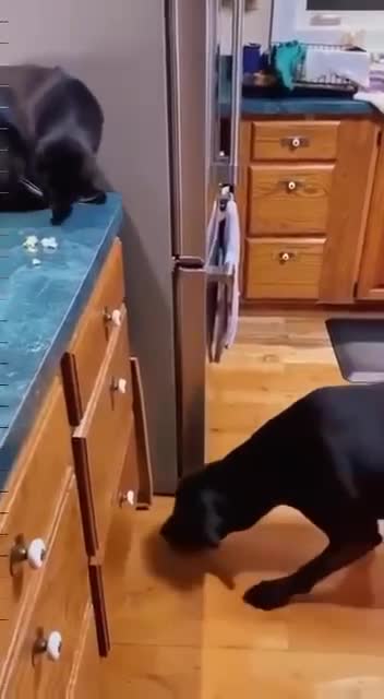 You want some popcorn?