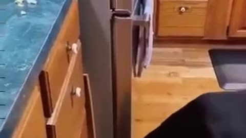 You want some popcorn?