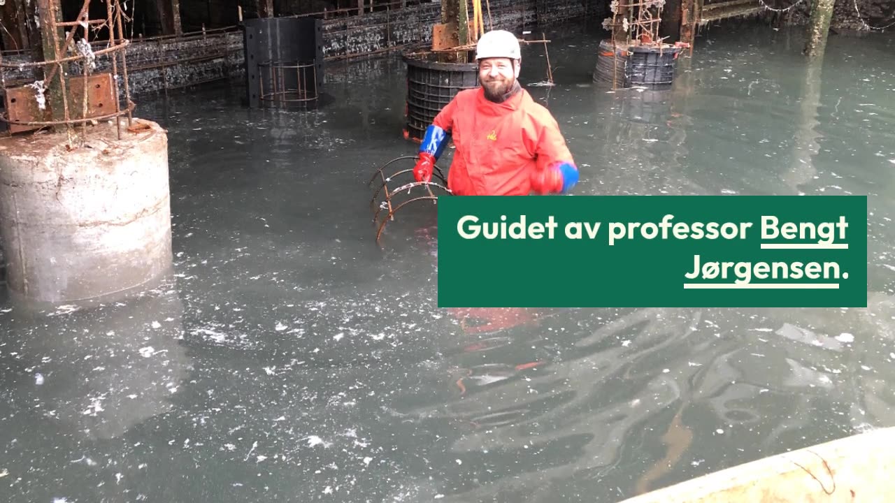 Oppdag havforskning med professor Bengt Jørgensen