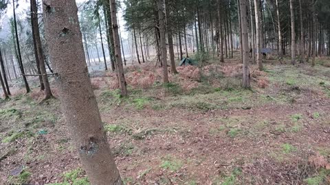 Walking through a woodland . Oh a wildcamp set up. 22nd Jan 2023