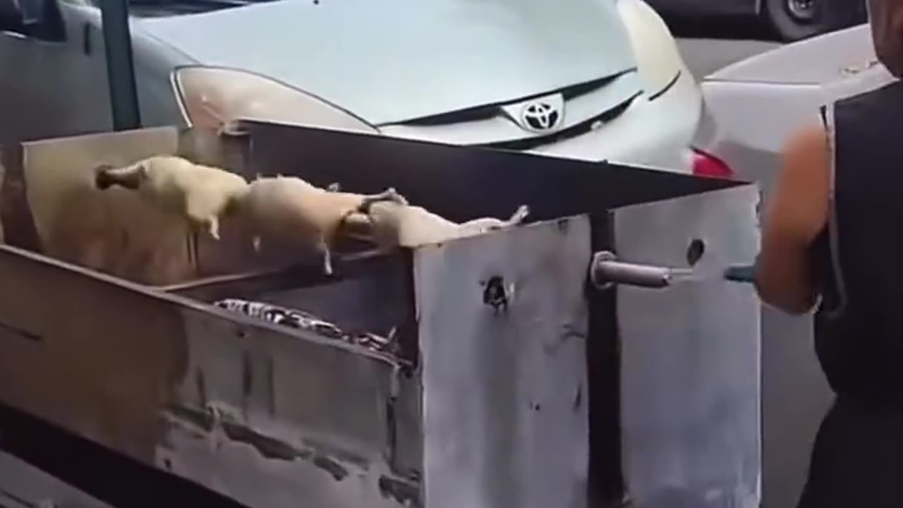 ΣΤΟ ΜΕΤΑΞΥ ΣΤΗ ΝΕΑ ΥΟΡΚΗ