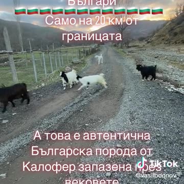 ТОВА Е БЪЛГАРИЯ