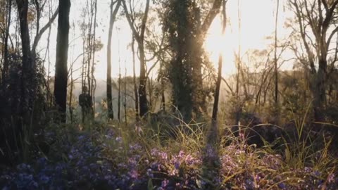 Trusting Our God Given Senses vs Satanic Indoctrination Belief System